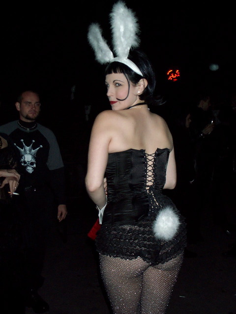 Kitty Bunny Butt
