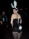 Kitty Bunny Butt